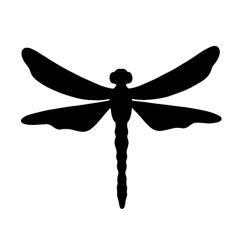 gsb17-s165_dragonfly